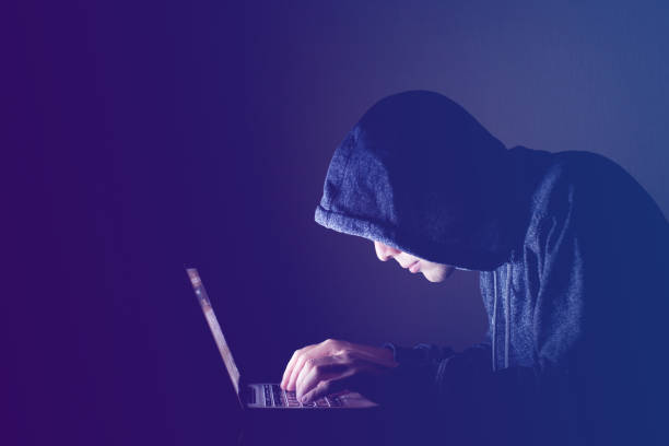 hacker with computer, cyber attack concept hacker with computer, cyber attack concept on dark background animals breaching photos stock pictures, royalty-free photos & images