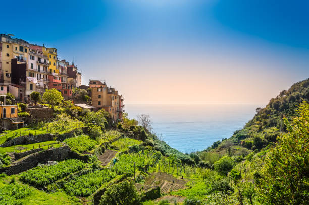 корниглия, синке-терре, италия - красивая деревня с красочными домами на вершине скалы над морем - ligurian sea стоковые фото и изображения