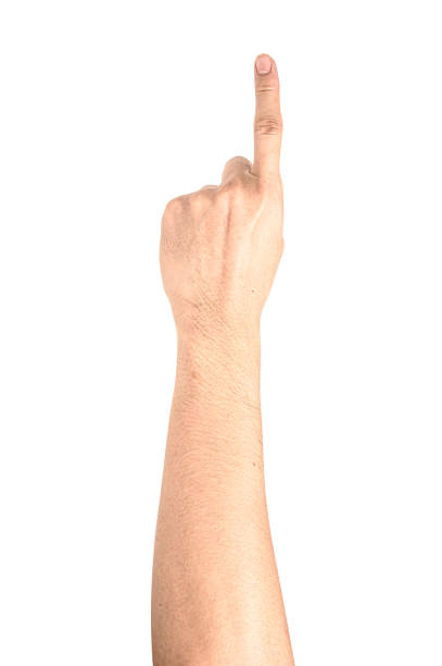 istock Hand show finger number one isolated on white background with clipping path. 1213399022