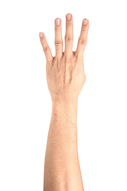 istock Hand show finger number four isolated on white background with clipping path. 1213399054