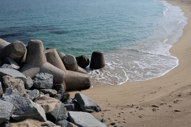 istock Tetrapod and the Seaside Landscape 1213401037