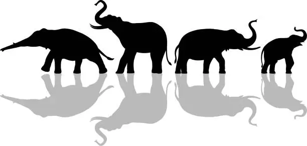 Vector illustration of Elephants