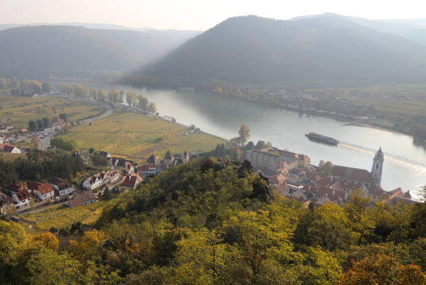 vallée de wachau le long du danube - danube valley danube river vineyard austria photos et images de collection