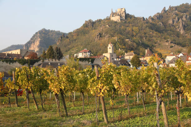 valle de wachau a lo largo del río danubio - danube valley danube river vineyard austria fotografías e imágenes de stock