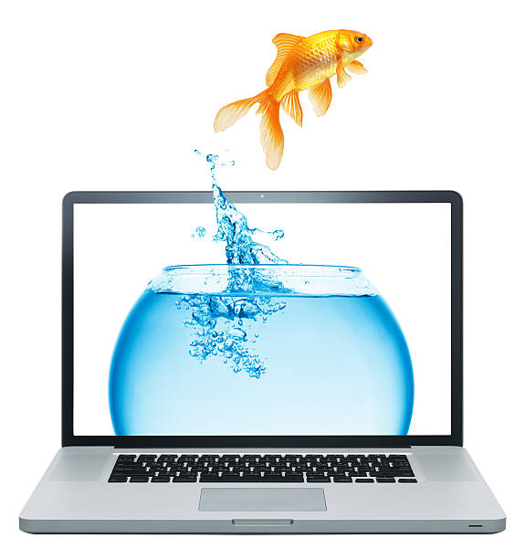 istock Laptop and gold fish plant isolated on white 121340904
