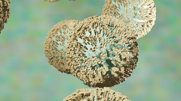 istock Corvid 19 new strain moves inside human on blurred background, 3D rendering 1213418950