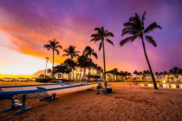 View of kayaks and palm trees on Waikiki Beach at sunset.