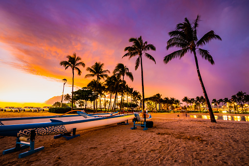 View of kayaks and palm trees on Waikiki Beach at sunset.