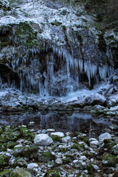 istock Small pond with icicle, Bohinj valley 1213425979