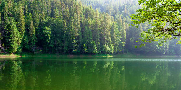istock lake summer landscape 1213426920