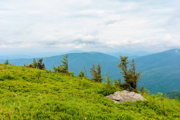 istock alpine meadows of mnt. Runa 1213427924