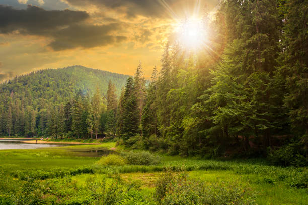 istock lake summer landscape 1213427989