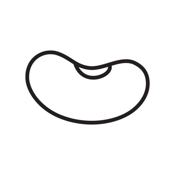 ilustraciones, imágenes clip art, dibujos animados e iconos de stock de icono de la hala. logotipo de arte de línea delgada - green bean isolated food white background