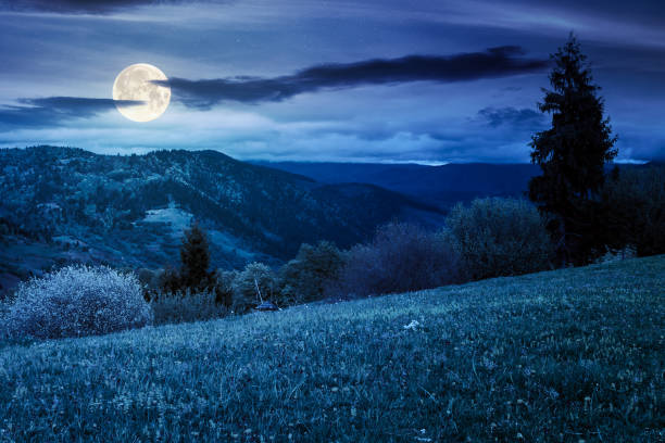istock beautiful rural landscape in mountains at night 1213430878