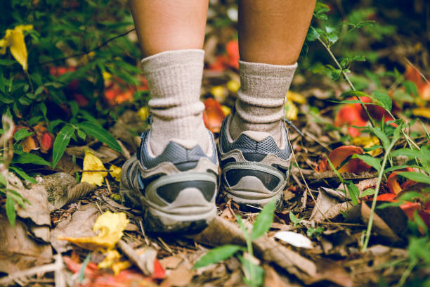 istock Young woman hiker legs walking on trail in spring mountains 1213435365
