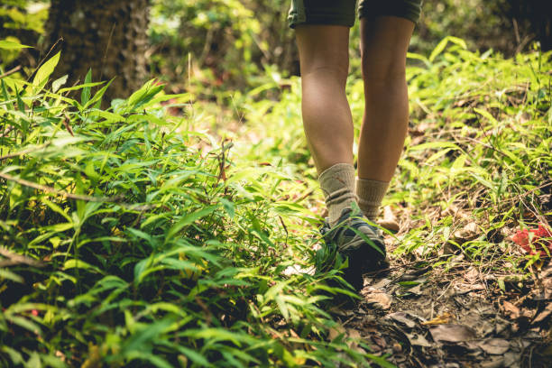 istock Young woman hiker legs walking on trail in spring mountains 1213435483