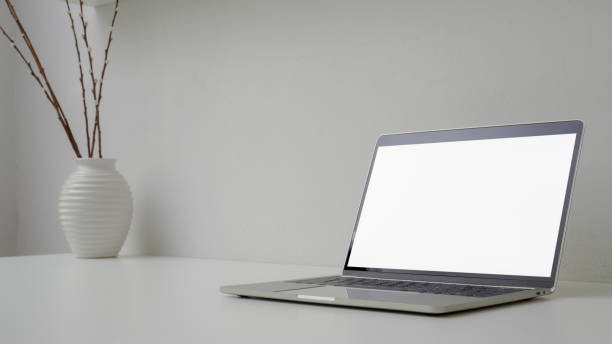 istock Cropped shot of minimal workspace with open blank screen laptop, vase and copy space 1213436603