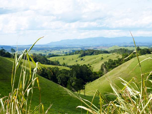 istock Atherton Tablelands Landscape in Summer 1213438059