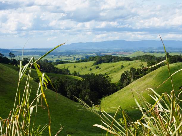 istock Atherton Tablelands Landscape in Summer 1213438064