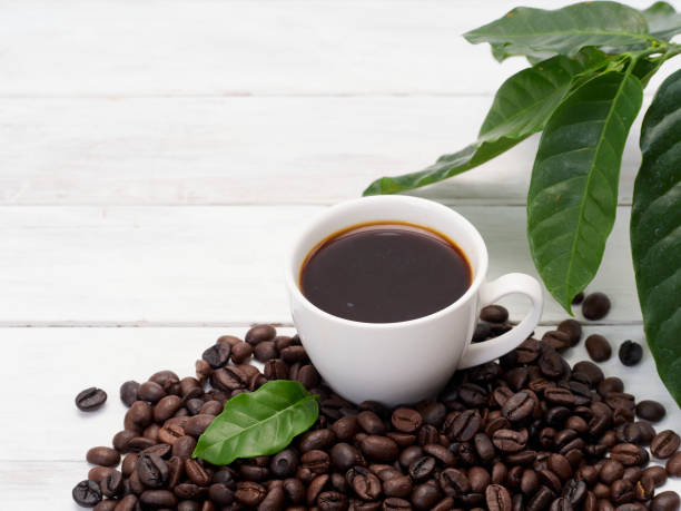 뜨거운 커피 컵과 오래된 흰색 나무 테이블에 잎으로 볶은 커피 콩. - bean coffee bean heap white 뉴스 사진 이미지
