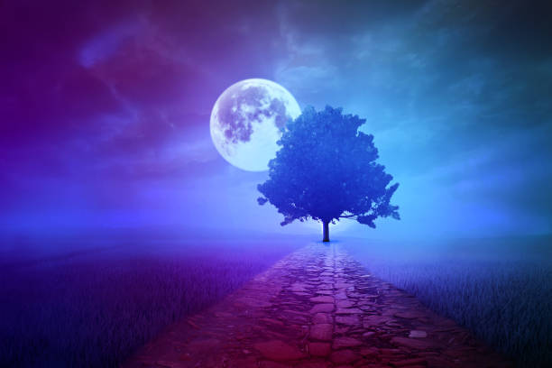 environment concept, single tree  land with smoke and fog. Ultraviolet color.