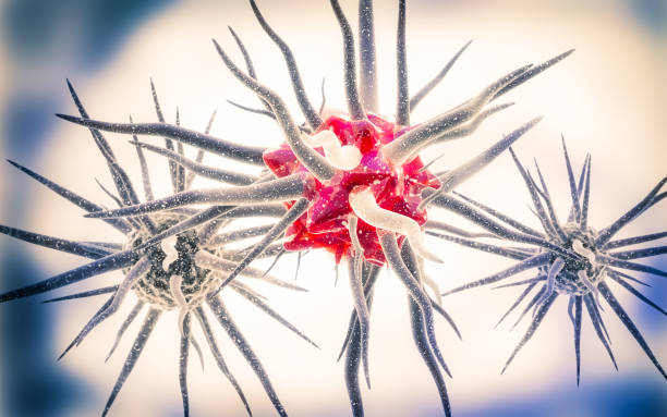 istock Virus cells or bacteria molecule. Flu, view of a coronavirus under a microscope, infectious disease. Germs, bacteria, cell infected organism. COVID-19, H1N1, Swine Flu, Corona, Virus. 3d Rendering. 1213446959