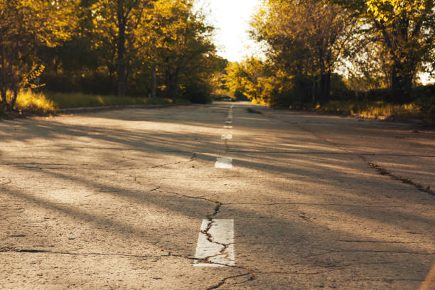 Old cracked asphalt road among trees