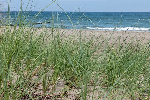 German Baltic Sea coast with sand dunes, grass, water and blue sky