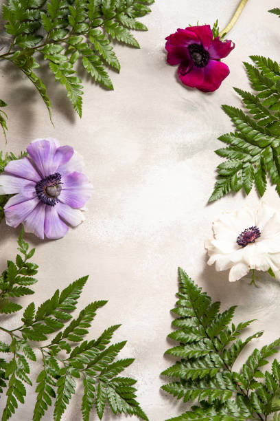 istock Flower flat lay for decorative design on natural background. Minimal romantic hipster concept, mockup background. 1213452823