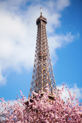 View of Eiffel Tower from Champ de Mars in Paris, France. Famous travel destination