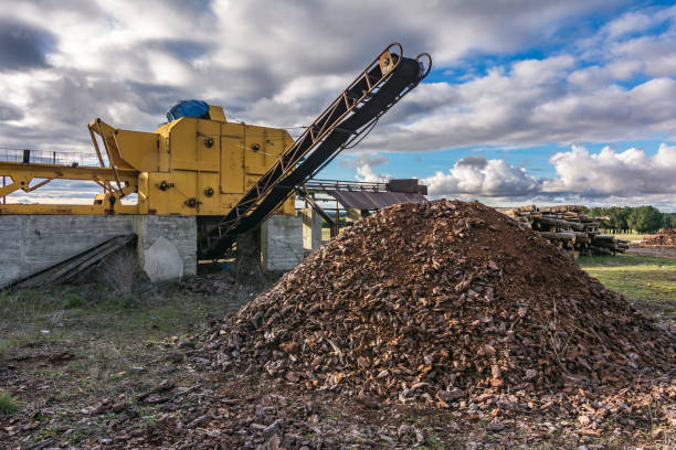 istock Harvesting of pine bark in a sawmill 1213457683