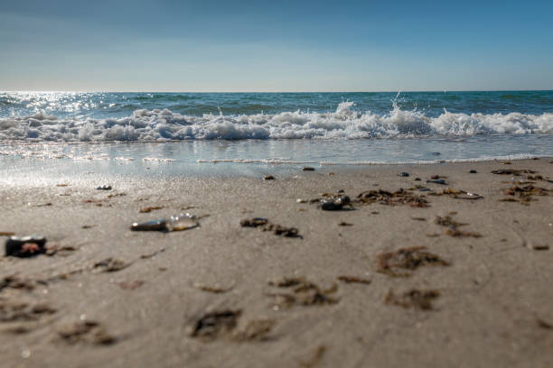 Surf on the beach in back light with waves, sand, shells and jellyfish