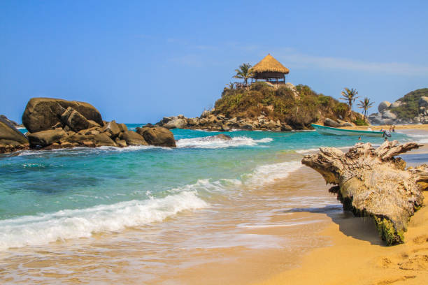 istock Beach hut at Tayrona National Park, Colombia 1213459265