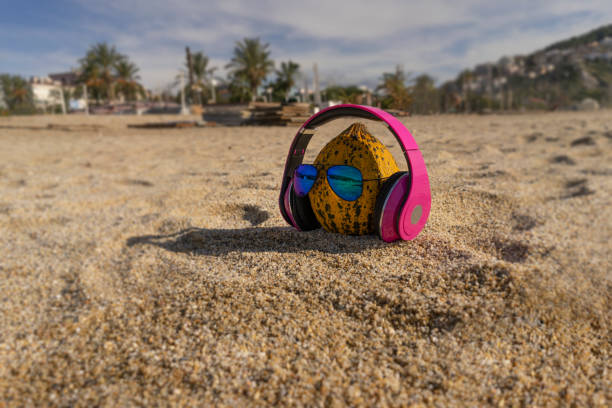 istock Sugar melon with headphones. 1213459539