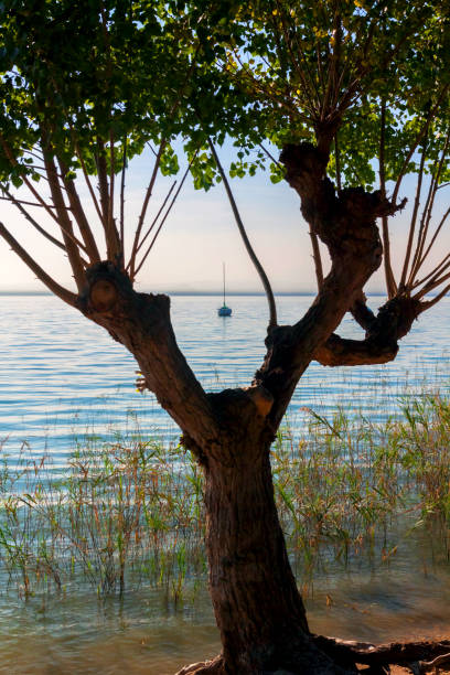 Lake Garda, Italy with small sailboat.