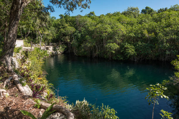 istock Cenote in Tulum, Mexico 1213463257