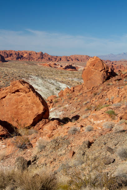 istock Scenic views of the beautiful Mojave Desert. 1213463337