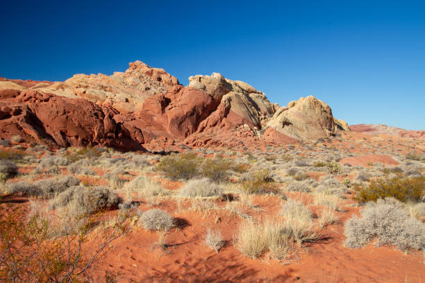 istock Colorful rock formations in the beautiful desert scenery. 1213463605