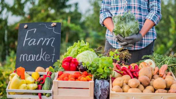 istock A swimmer on a farm rune holds a head of cabbage 1213465476