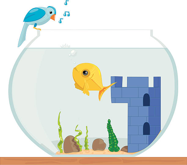 Fish parler à bird (twitter - Illustration vectorielle