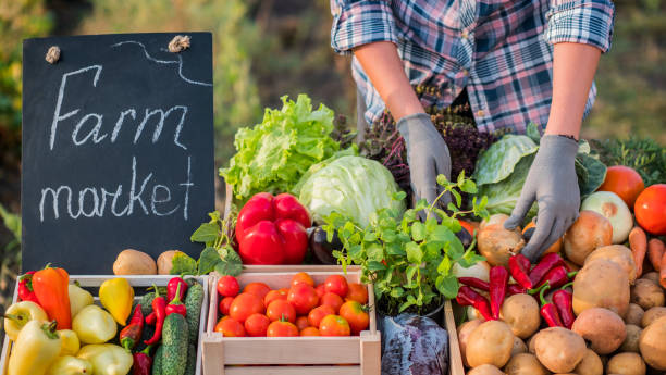 istock Farmer lays vegetables on the counter 1213466675