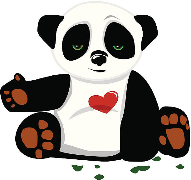 Panda - Illustration vectorielle