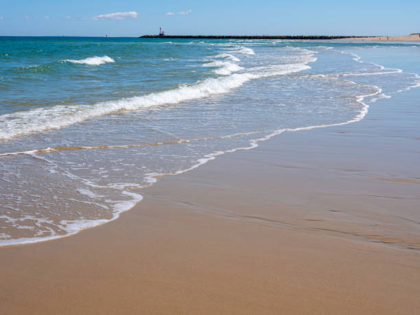 istock Seascape with white waves rolling in on clean Scusset Beach sand in Cape Cod Bay 1213468673