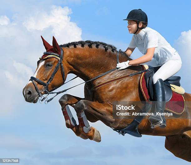 Foto de Equitação Jumperhorsewoman E Baía Mare e mais fotos de stock de Concurso de Saltos Equestres - Concurso de Saltos Equestres, Adulto, Alazão - Cor de Cavalo