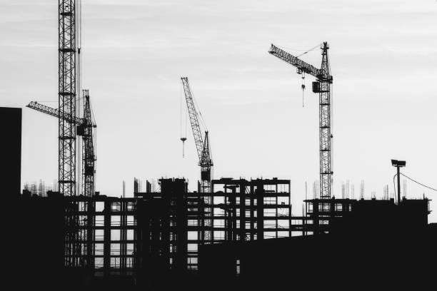 istock silhouettes of cranes. 1213475051