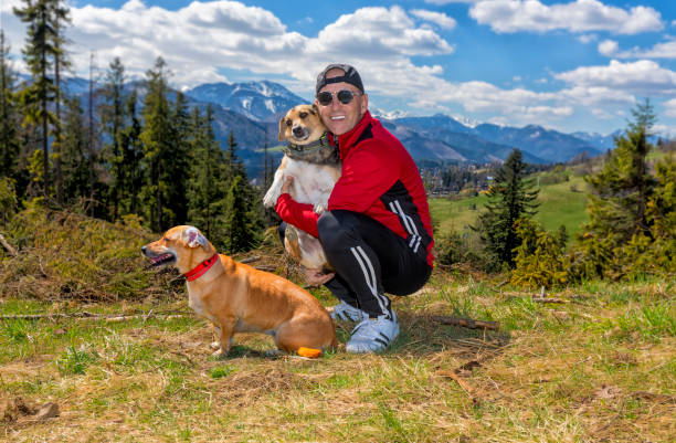 istock Holidays with dogs in Tatra Mountains 1213476195