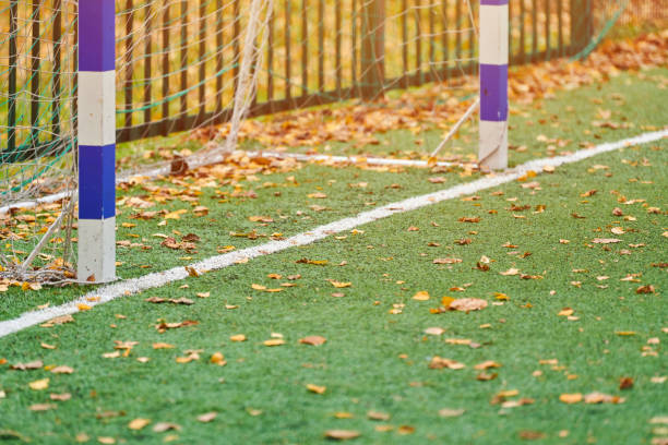 sztuczna trawa, pokrycie boiska sportowego z bramką piłkarską - football education tall sport zdjęcia i obrazy z banku zdjęć