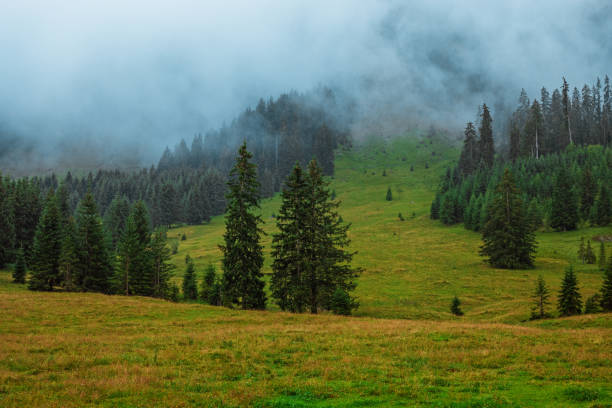 istock Beautiful Austrian countryside landscape view 1213481633