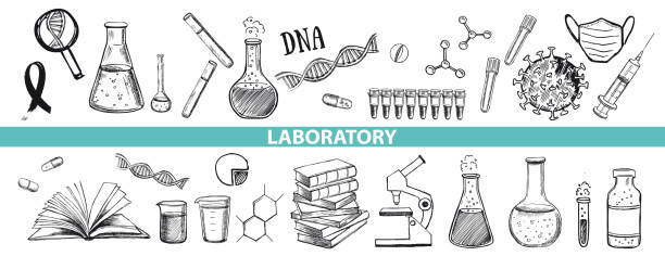 ilustraciones, imágenes clip art, dibujos animados e iconos de stock de conjunto de iconos dibujados a mano con vectores de investigación de laboratorio. coronavirus, adn, análisis de sangre. - laboratory glassware laboratory alchemy chemistry