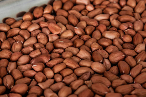 istock close up view of peanuts at the plate 1213482644